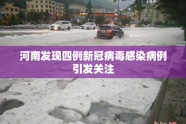 河南发现四例新冠病毒感染病例引发关注