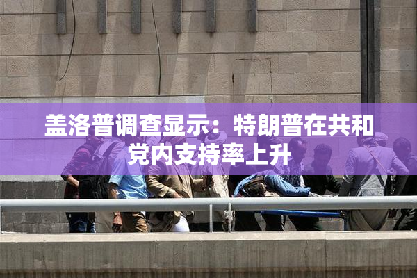 盖洛普调查显示：特朗普在共和党内支持率上升