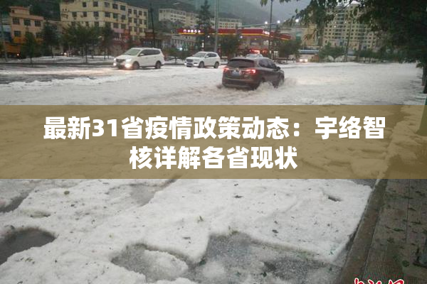 最新31省疫情政策动态：宇络智核详解各省现状