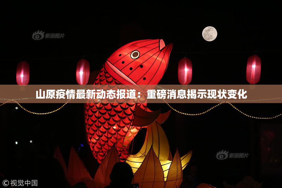 山原疫情最新动态报道：重磅消息揭示现状变化