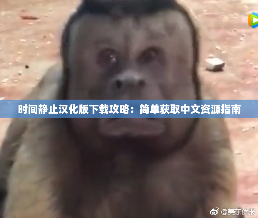 时间静止汉化版下载攻略：简单获取中文资源指南