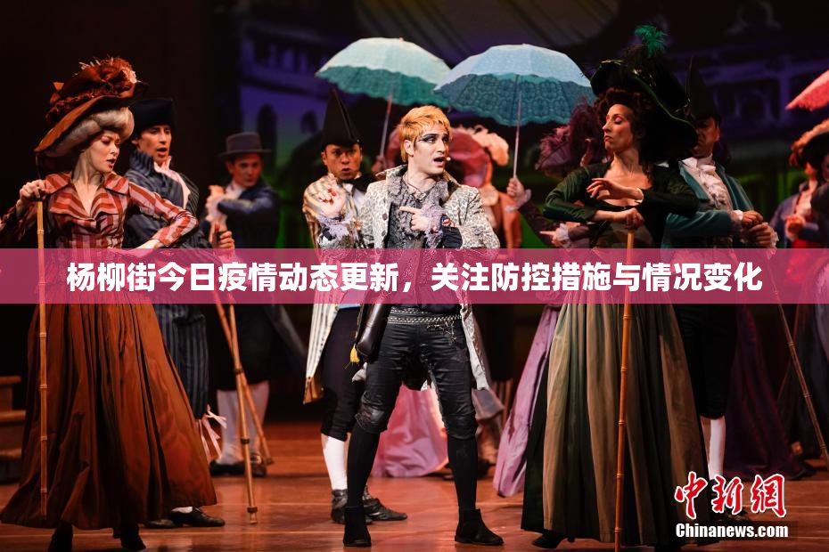杨柳街今日疫情动态更新，关注防控措施与情况变化