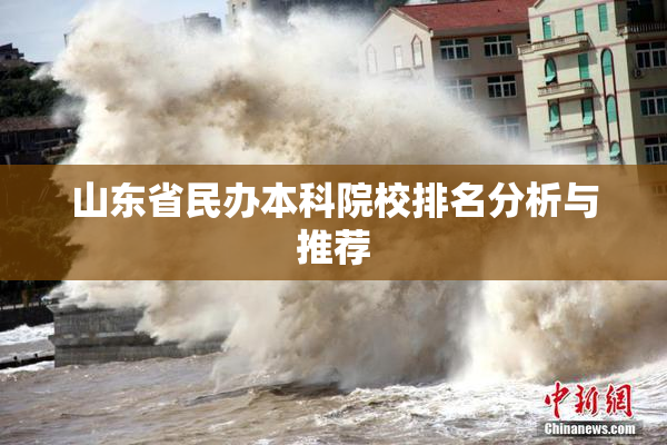 山东省民办本科院校排名分析与推荐