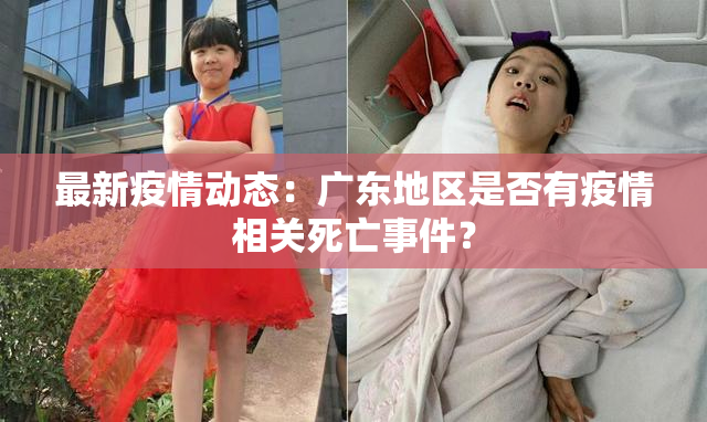 最新疫情动态：广东地区是否有疫情相关死亡事件？