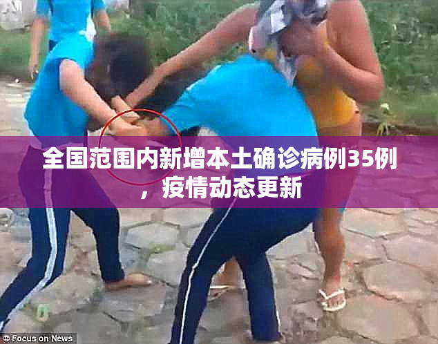 全国范围内新增本土确诊病例35例，疫情动态更新