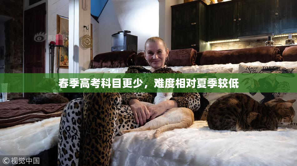 春季高考科目更少，难度相对夏季较低