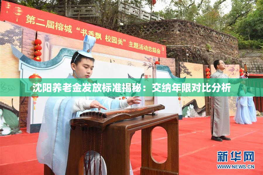 沈阳养老金发放标准揭秘：交纳年限对比分析