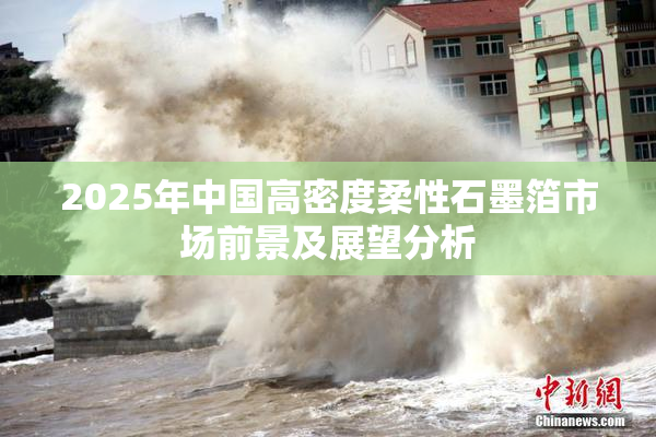 2025年中国高密度柔性石墨箔市场前景及展望分析