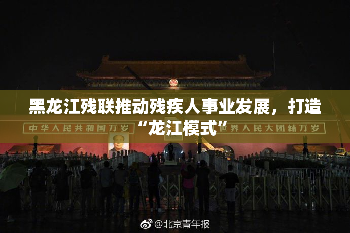 黑龙江残联推动残疾人事业发展，打造“龙江模式”