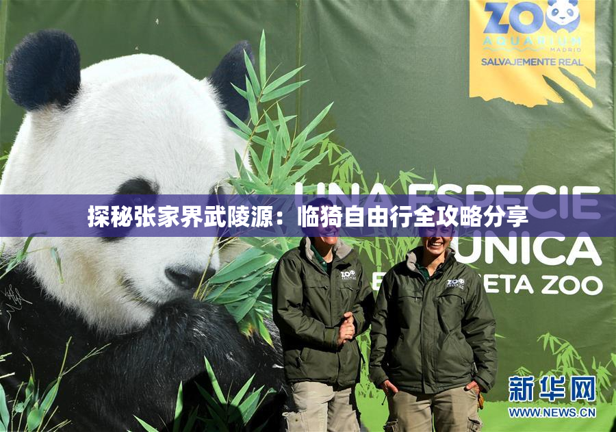 探秘张家界武陵源：临猗自由行全攻略分享