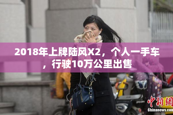 2018年上牌陆风X2，个人一手车，行驶10万公里出售