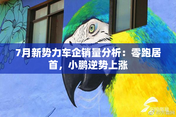 7月新势力车企销量分析：零跑居首，小鹏逆势上涨