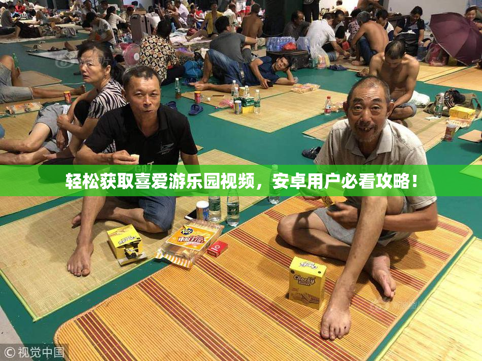 轻松获取喜爱游乐园视频，安卓用户必看攻略！