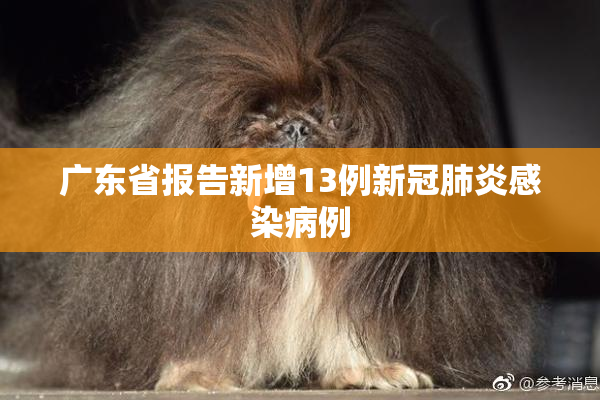 广东省报告新增13例新冠肺炎感染病例