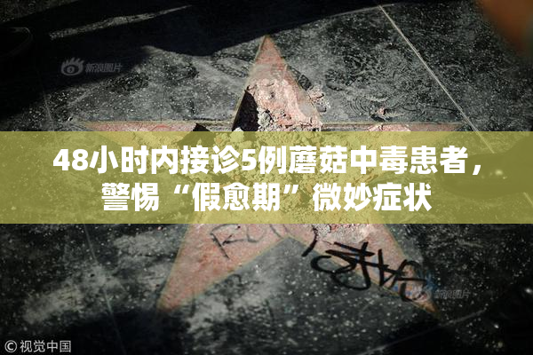 48小时内接诊5例蘑菇中毒患者，警惕“假愈期”微妙症状