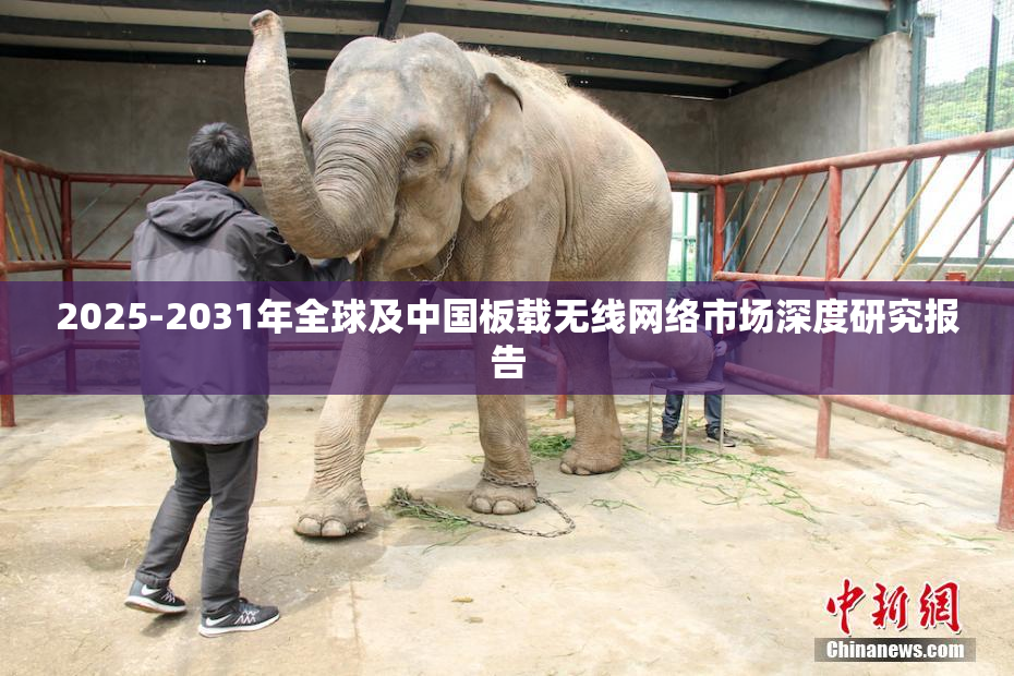 2025-2031年全球及中国板载无线网络市场深度研究报告