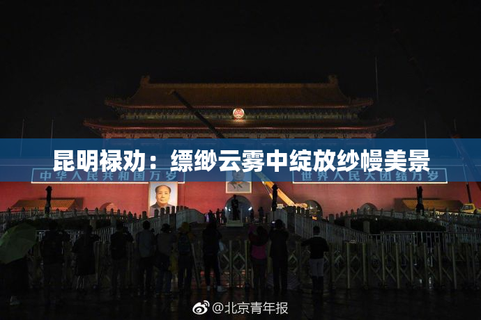 昆明禄劝：缥缈云雾中绽放纱幔美景