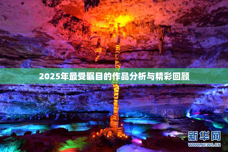 2025年最受瞩目的作品分析与精彩回顾