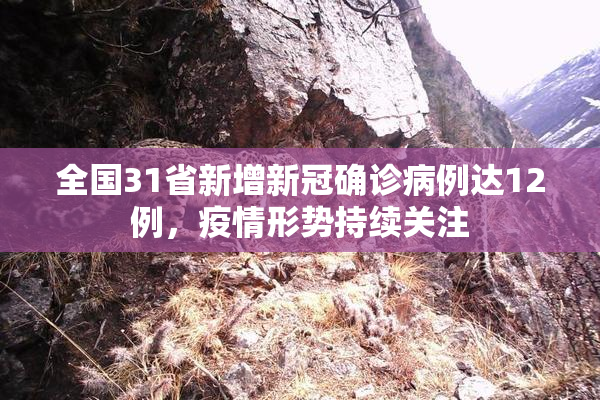 全国31省新增新冠确诊病例达12例，疫情形势持续关注