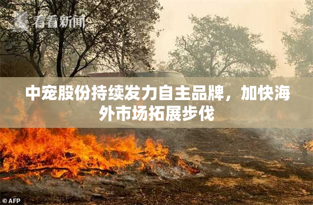 中宠股份持续发力自主品牌，加快海外市场拓展步伐
