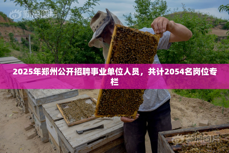 2025年郑州公开招聘事业单位人员，共计2054名岗位专栏