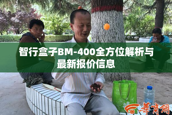 智行盒子BM-400全方位解析与最新报价信息