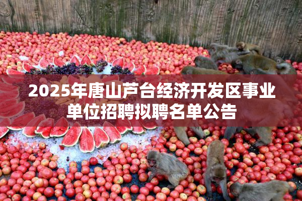 2025年唐山芦台经济开发区事业单位招聘拟聘名单公告