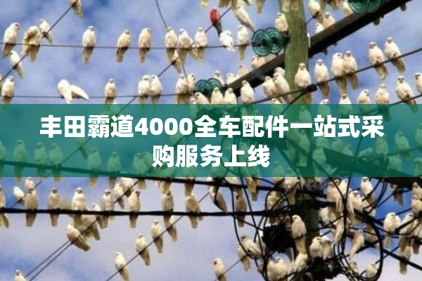 丰田霸道4000全车配件一站式采购服务上线