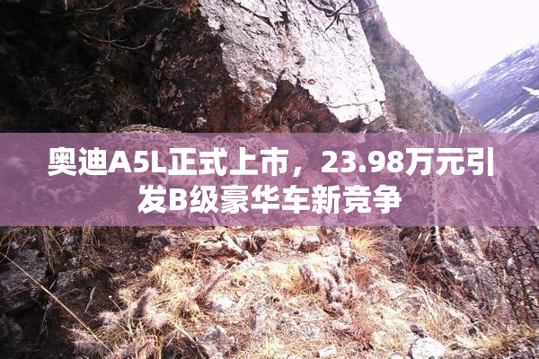 奥迪A5L正式上市，23.98万元引发B级豪华车新竞争