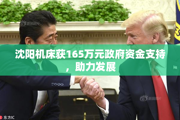 沈阳机床获165万元政府资金支持，助力发展