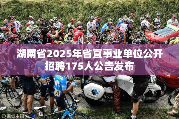 湖南省2025年省直事业单位公开招聘175人公告发布