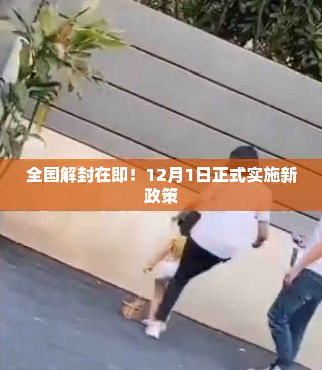 全国解封在即！12月1日正式实施新政策