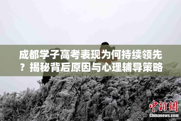 成都学子高考表现为何持续领先？揭秘背后原因与心理辅导策略