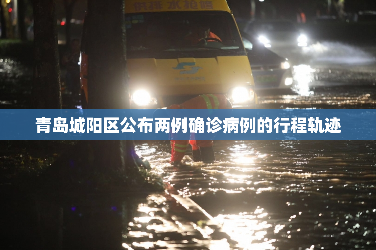 青岛城阳区公布两例确诊病例的行程轨迹