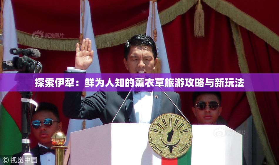 探索伊犁：鲜为人知的薰衣草旅游攻略与新玩法