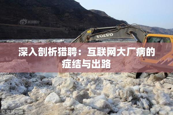 深入剖析猎聘：互联网大厂病的症结与出路