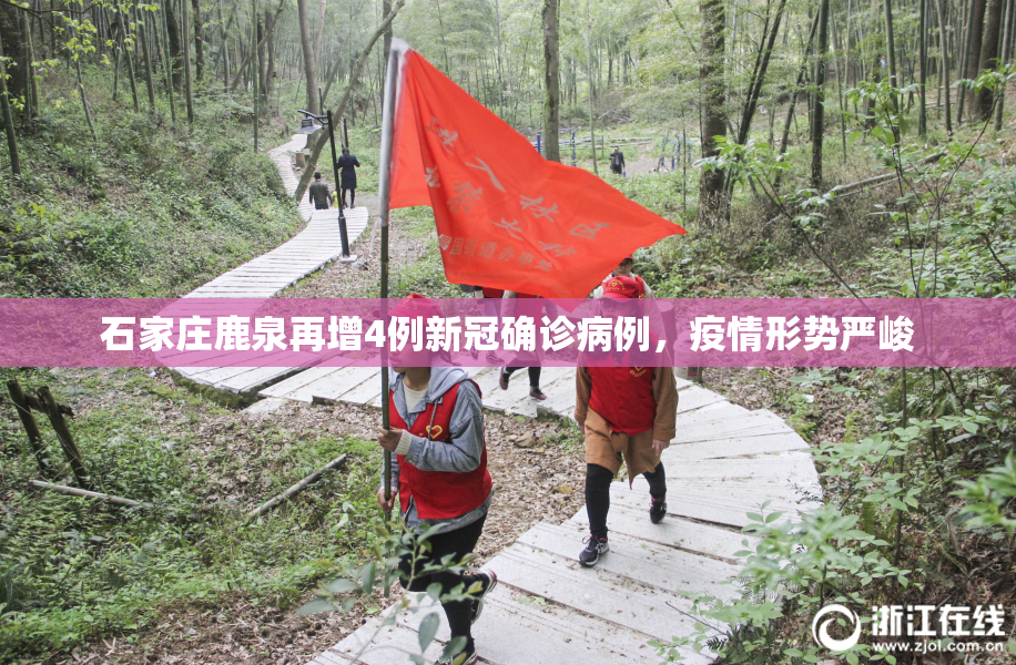 石家庄鹿泉再增4例新冠确诊病例，疫情形势严峻