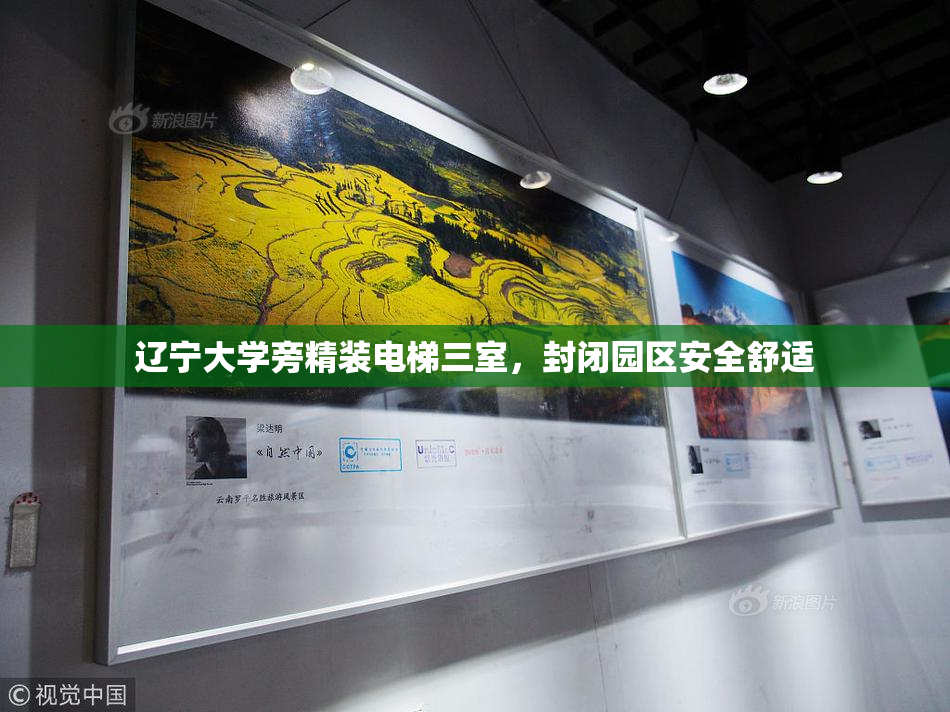 辽宁大学旁精装电梯三室，封闭园区安全舒适
