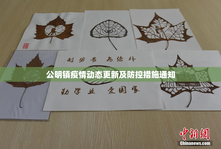 公明镇疫情动态更新及防控措施通知