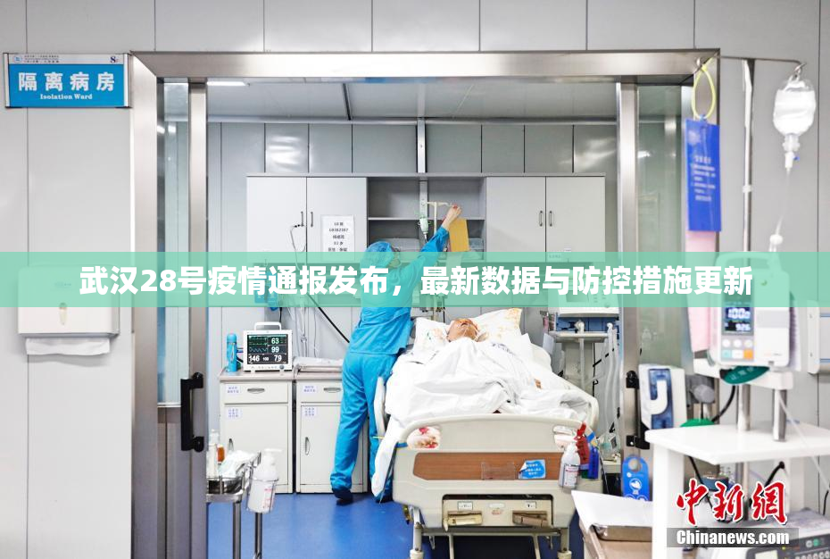 武汉28号疫情通报发布，最新数据与防控措施更新