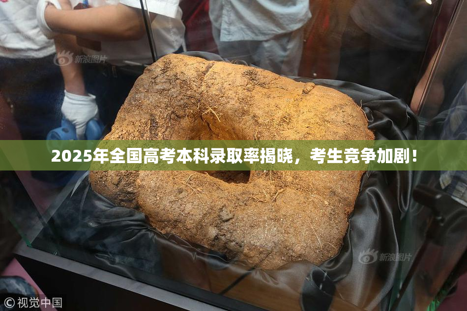 2025年全国高考本科录取率揭晓，考生竞争加剧！