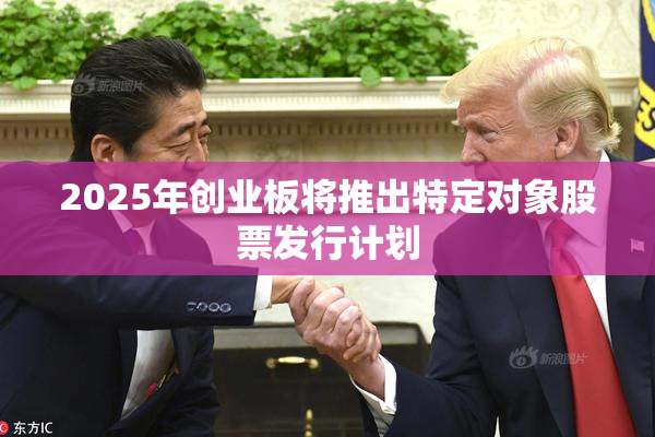2025年创业板将推出特定对象股票发行计划