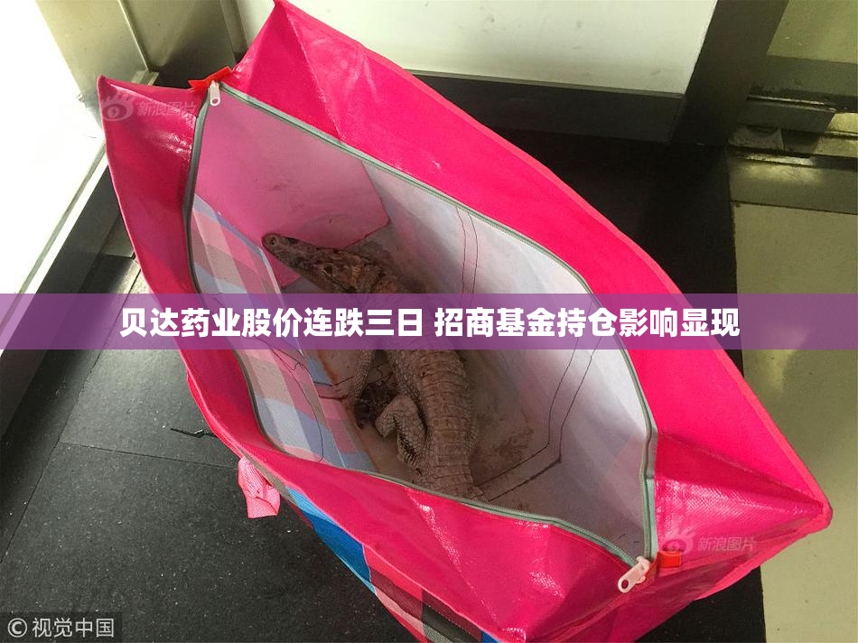 贝达药业股价连跌三日 招商基金持仓影响显现