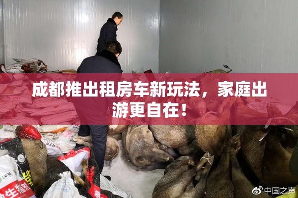 成都推出租房车新玩法，家庭出游更自在！