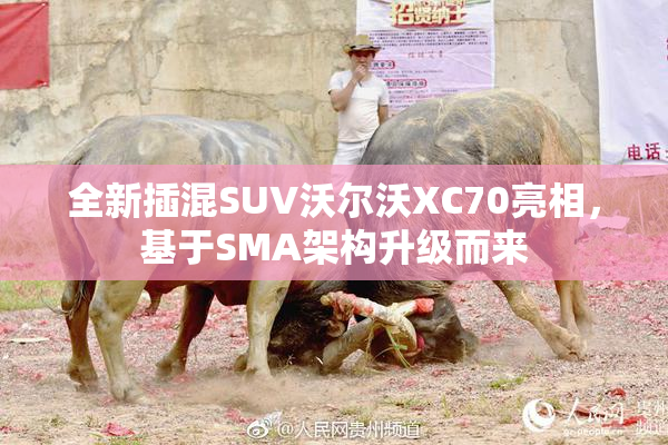 全新插混SUV沃尔沃XC70亮相，基于SMA架构升级而来