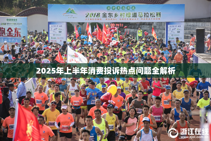 2025年上半年消费投诉热点问题全解析