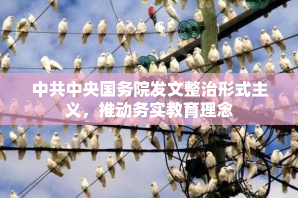 中共中央国务院发文整治形式主义，推动务实教育理念