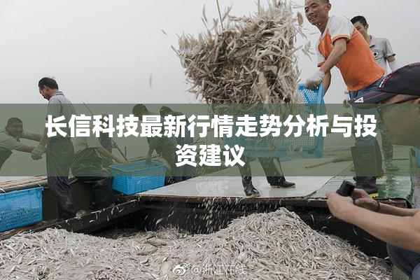 长信科技最新行情走势分析与投资建议