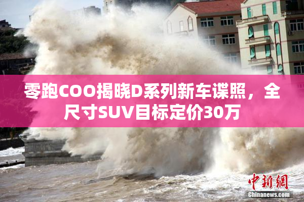 零跑COO揭晓D系列新车谍照，全尺寸SUV目标定价30万