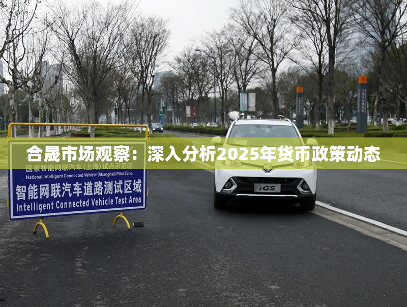 合晟市场观察：深入分析2025年货币政策动态